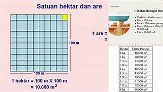 7000M2 Berapa Hektar